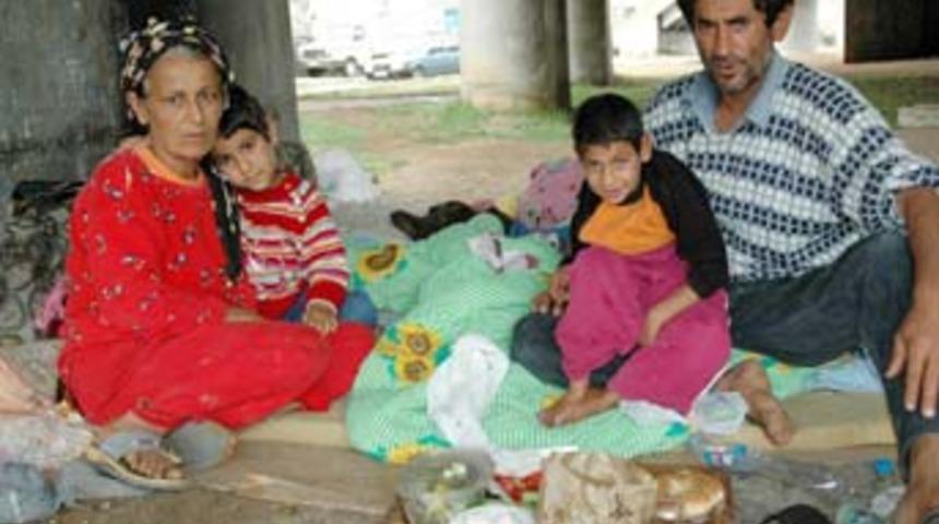 K&ouml;pr&uuml; altında yaşam m&uuml;cadelesi