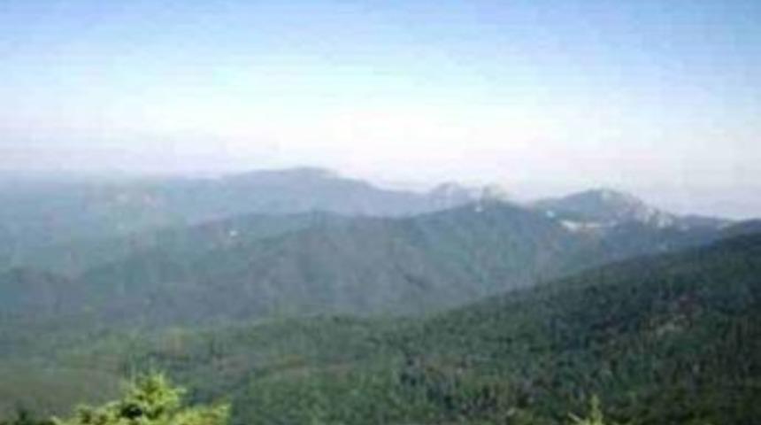 MHP'den Kaz Dağları i&ccedil;in araştırma istemi