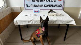 Mezarlığa kenevir ekmişlerdi... 2 şüpheli gözaltında!