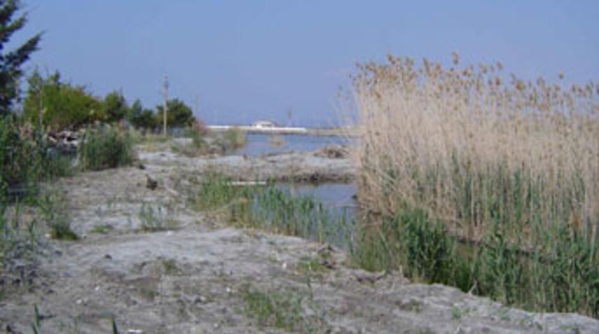 Kuşadası'nda &ccedil;evre felaketine adım adım