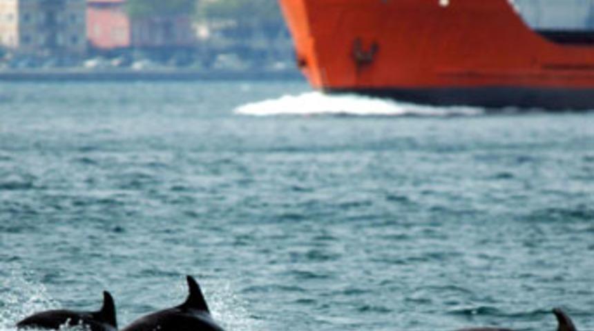 Boğazın &ccedil;etesi ''Yunuslar''