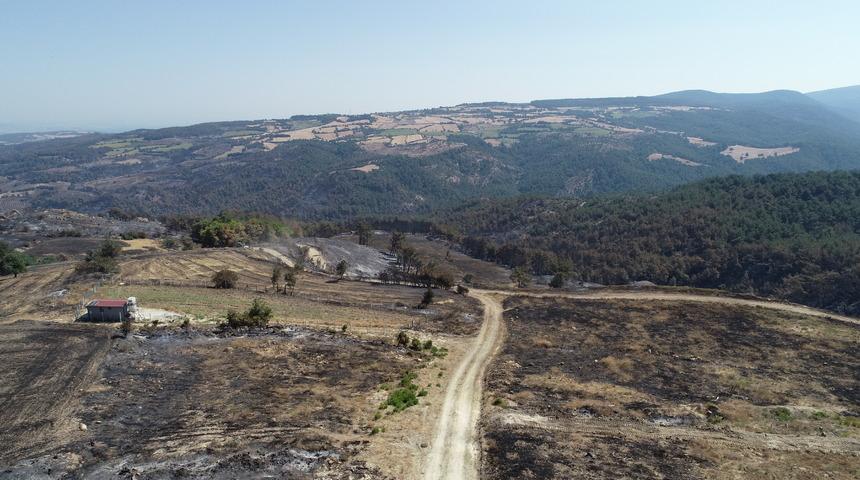 Çanakkale'deki orman yangınında 2 bin 500 hektar alanın zarar gördüğü belirlendi