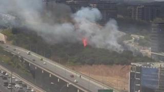 SON DAKİKA |Kağıthane'de ormanlık alanda korkutan yangın!