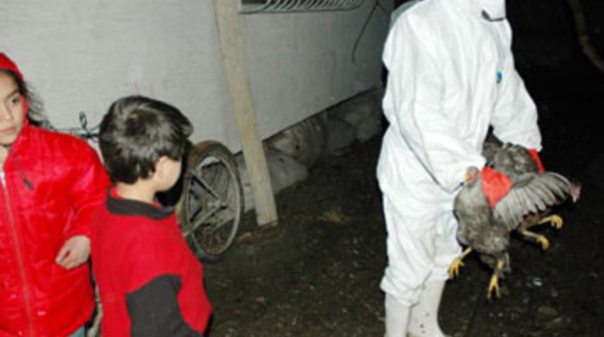 Batman'da &uuml;&ccedil;&uuml;nc&uuml; kuş gribi vakası