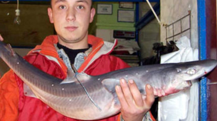 Balık avlarken k&ouml;pek balığı yakaladı