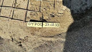 İztuzu sahilindeki caretta caretta yuvalarının sayısı 700'e ulaştı