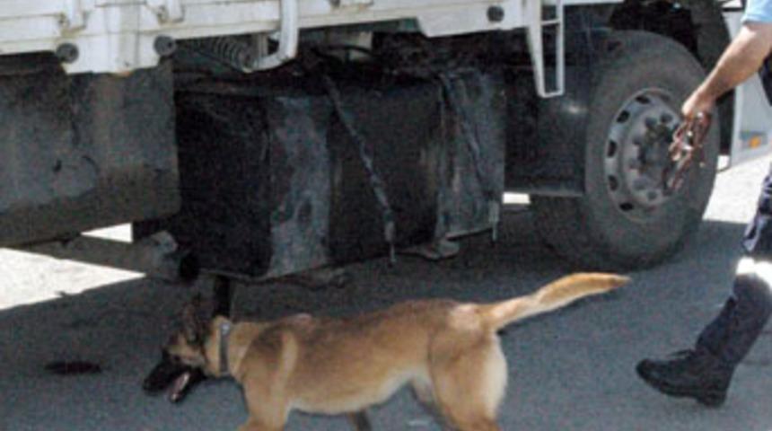 Narkotik k&ouml;peği 'kumpas' kayboldu
