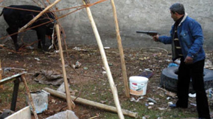 Şanlıurfa'da boğa vatandaşlara zor anlar yaşattı