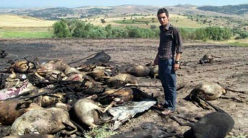 &Ccedil;oban ateşi s&uuml;r&uuml;y&uuml; yaktı