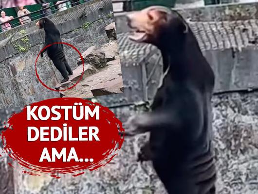 “İnsanlar bu türü anlayamıyor"