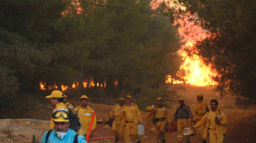 Aydın alevlere teslim oldu