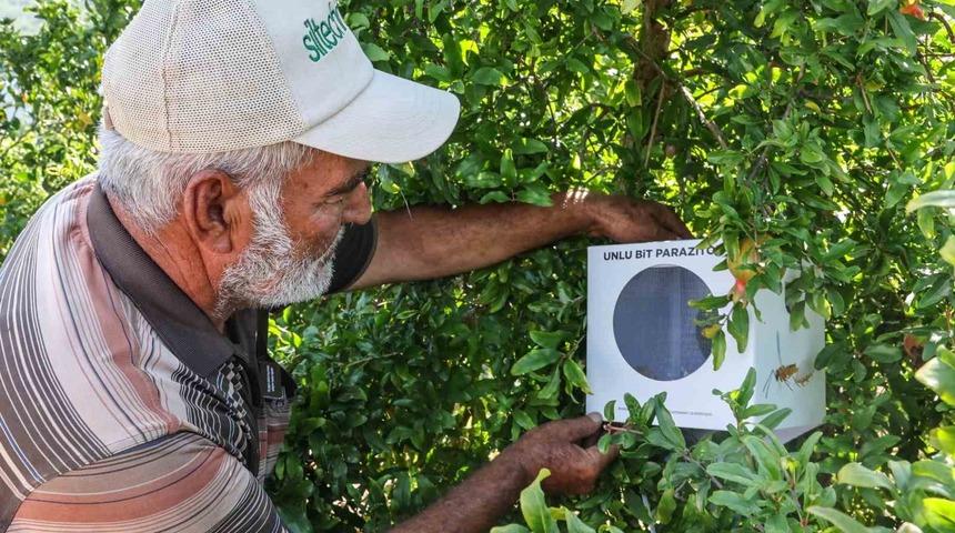 B&uuml;y&uuml;kşehir&rsquo;in &ccedil;ift&ccedil;ilere faydalı b&ouml;cek desteği ara vermedi