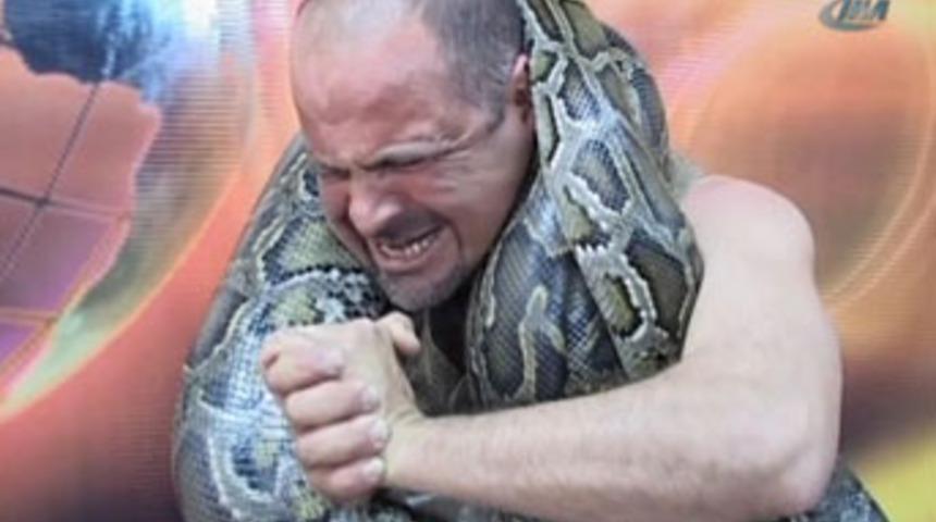 Canlı yayında piton dehşeti