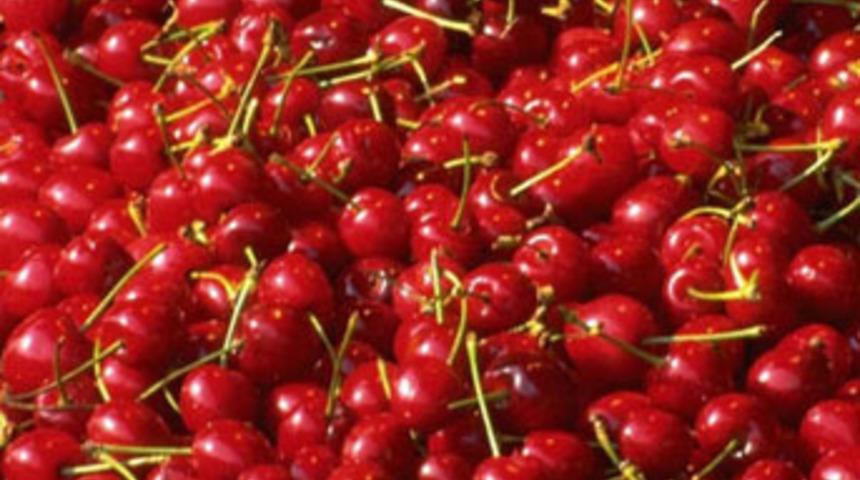 Kirazın bilinmeyen y&ouml;nleri