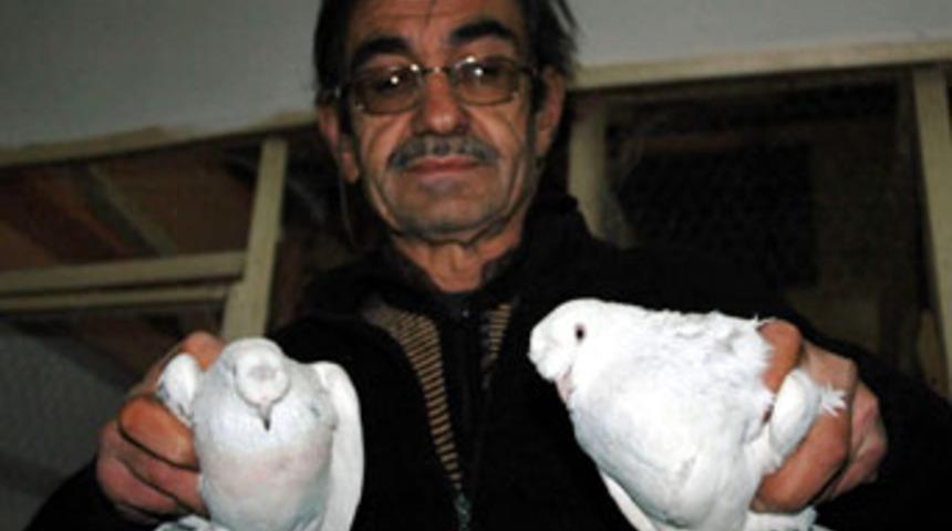 Otomobil fiyatına g&uuml;vercin