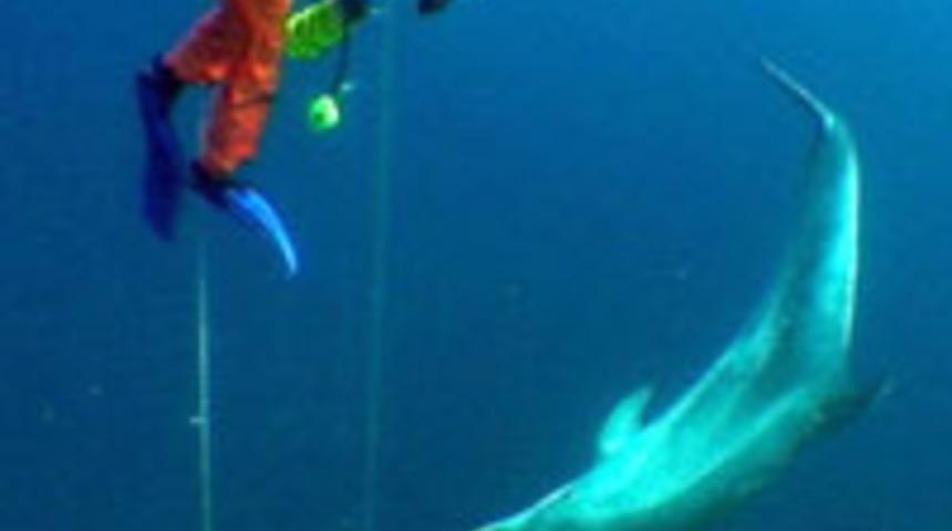 &Uuml;nl&uuml; belgeselci Haluk Cecan hayatını kaybetti