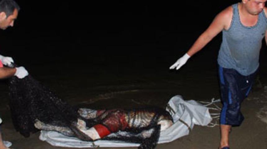 Denizde başı kopmuş bayan cesedi