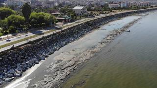 Görenler büyük şaşkınlık yaşıyor! Ciddi boyuta ulaştı... Hepsi gün yüzüne çıktı