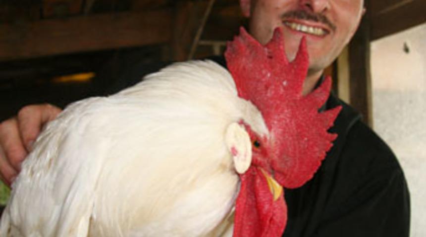 Konuşan horoz "anne anne" diye &ouml;t&uuml;yor