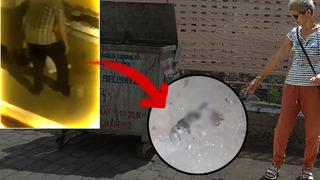 Ayağının altına alıp iç organları, kafatası ve kemikleri parçalayıncaya dek ezdi! Trabzon'da kan donduran anlar: 'Mahallede vahşi hayvan var sanıyorduk'