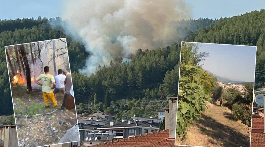 Ormanı yakıp kaçarken cep telefonuyla görüntülendi! İtirafı şoke etti: "Muğla'nın üstünde büyü var"