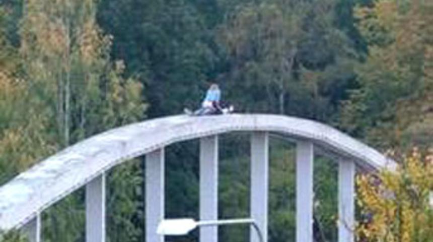 K&ouml;pr&uuml;de seks internete d&uuml;şt&uuml;