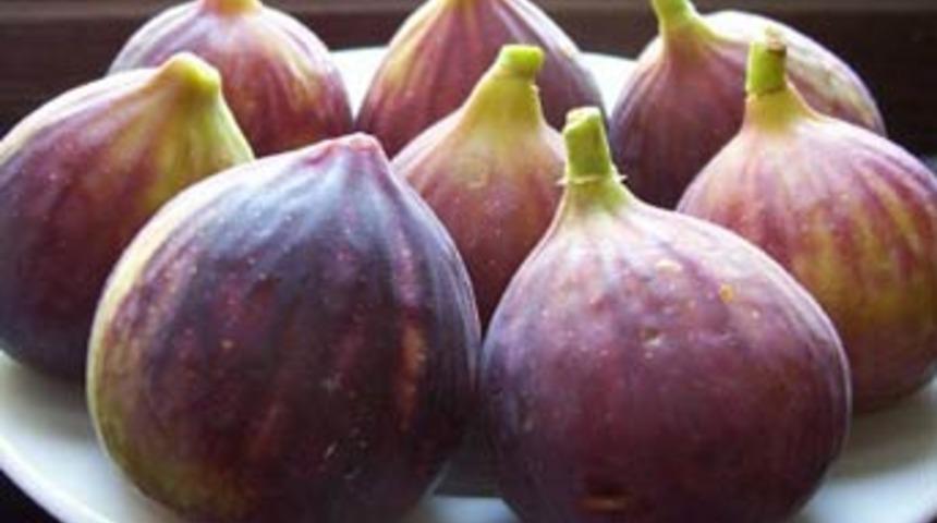 İncir kuruyunca adeta devleşiyor