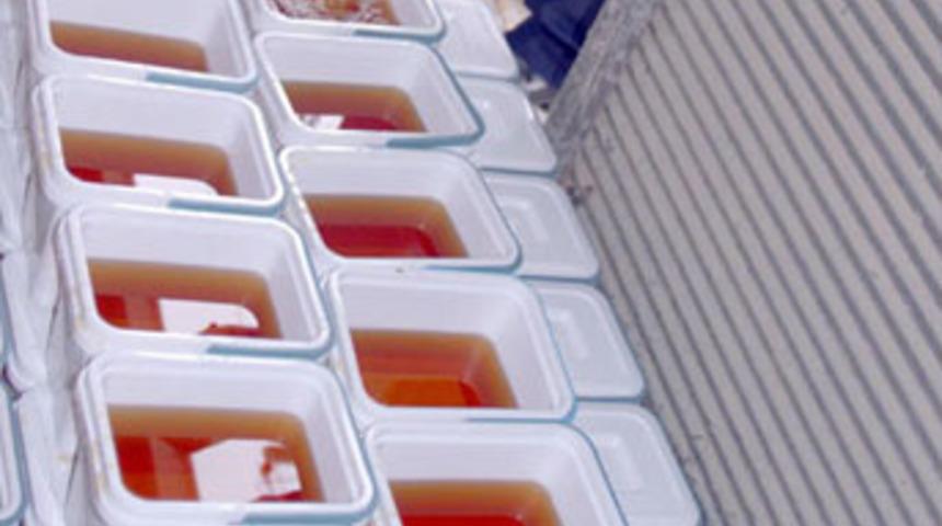 Bal, doğal ila&ccedil;