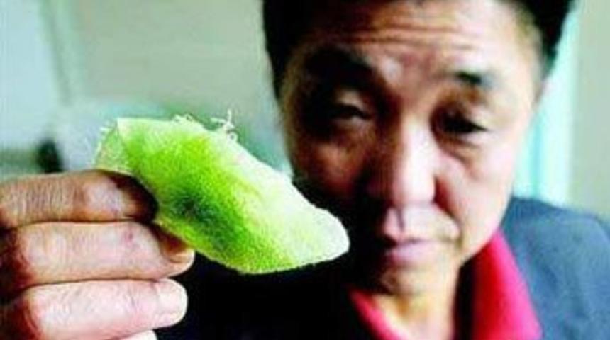 Bu &Ccedil;inli 'yeşil' terliyor