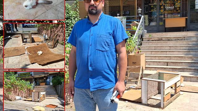 Kocaeli'de pet shop katliamı! Sabah dükkanı açmaya geldiğinde gözlerine inanamadı... Böyle canice, vahşi bir olay yaşamadım