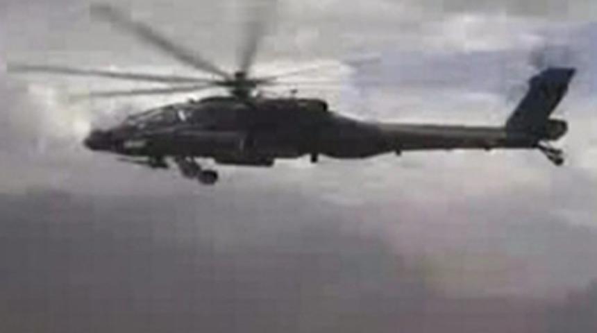 Sinek avlar gibi insan avlıyor