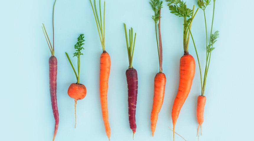 Siyah havuç faydaları: Siyah havuç nasıl tüketilir?	