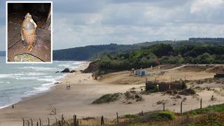 Şile sahili kapatılmıştı! MSB duyurdu: Top mermilerinin kaynağı belli oldu