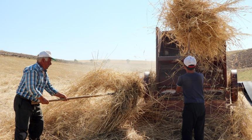 36 derecede kışlık yem m&uuml;cadelesi