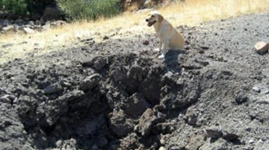 Askere tuzak son anda &ouml;nlendi