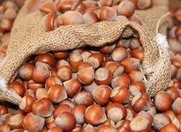 FINDIK FİYATLARI ne zaman açıklanacak, fındık taban fiyatı kaç TL? Toprak Mahsulleri Ofisi (TMO) fındık fiyatlarını açıkladı mı? 