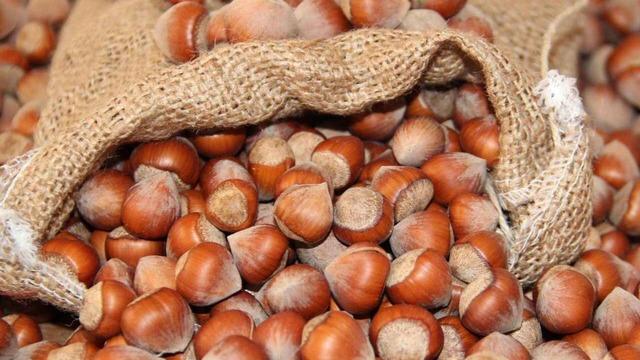 FINDIK FİYATLARI ne zaman açıklanacak, fındık taban fiyatı kaç TL? Toprak Mahsulleri Ofisi (TMO) fındık fiyatlarını açıkladı mı? 