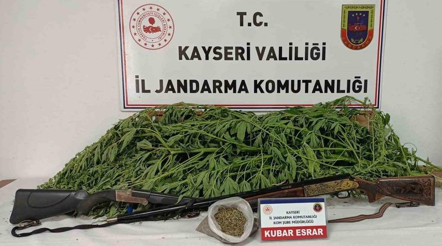 Evin bahçesinde kenevir bulunan şahıs yakalandı