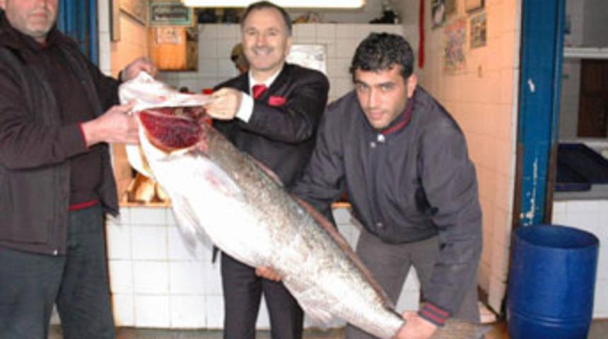 Bu balığın tanesi 600 YTL