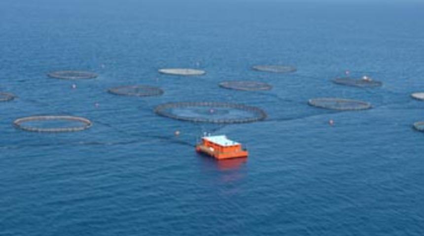 Balık &ccedil;iftlikleri taşınmayı bekliyor