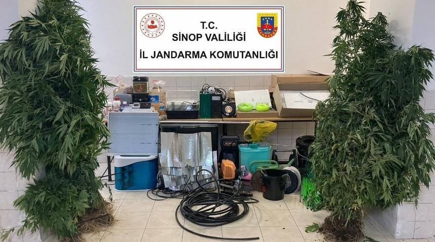 Sinop’ta uyuşturucu tacirlerine operasyon