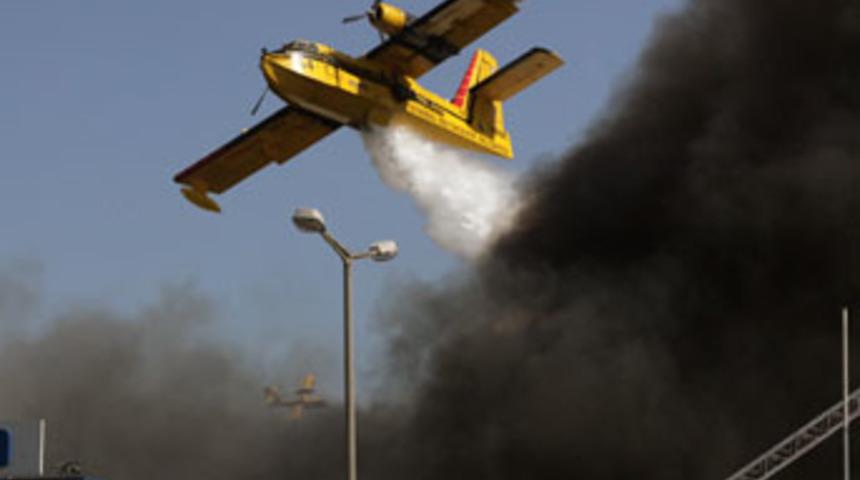 6 YTL g&ouml;nder bir ormanı kurtar