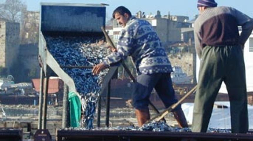 Karadeniz'deki balık t&uuml;rleri tehlikede