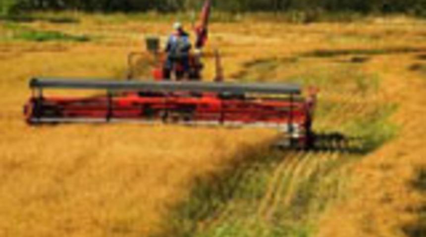 Organik tarıma devlet desteği