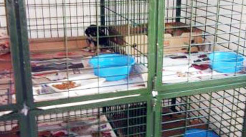 Yatalak hasta 3 ay boyunca kafeste tutuldu
