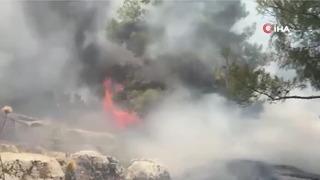 Adıyaman'daki orman yangını kontrol altına alındı!