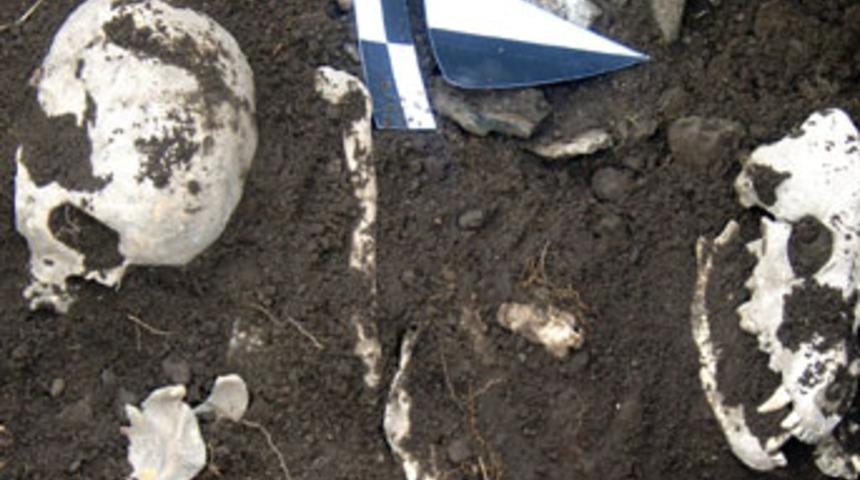 İnsan, at ve k&ouml;pek yan yana g&ouml;m&uuml;l&uuml;