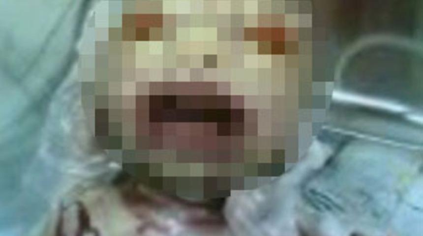 Yılan bebek T&uuml;rkiye'de de doğabilir