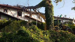 Deprem olduğunu sanıp korkuya kapıldılar! Asırlık çınar ağacı villanın çatısına devrildi