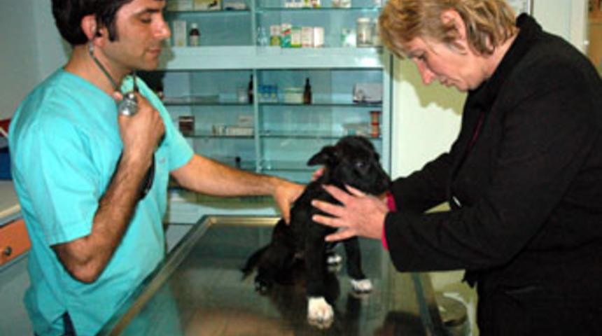 &Ouml;len eşini yiyen k&ouml;peği bulununca sevindi